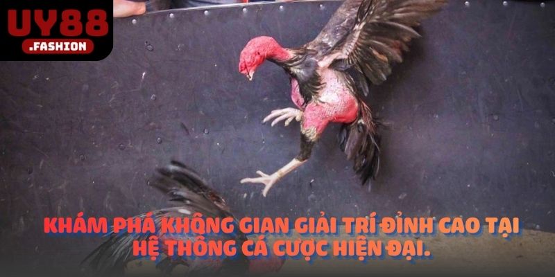 Khám phá không gian giải trí đỉnh cao tại hệ thống cá cược hiện đại.