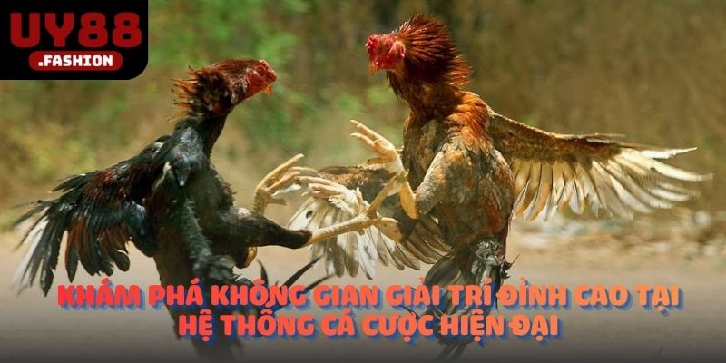 Khám phá không gian giải trí đỉnh cao tại hệ thống cá cược hiện đại